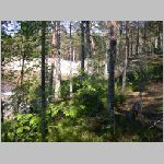 rfrelia2006023.jpg