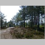 rfrelia2006025.jpg