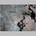 rfrelia2006030.jpg