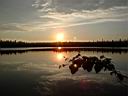 Karelia-026.jpg