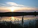IMG_1257.jpg