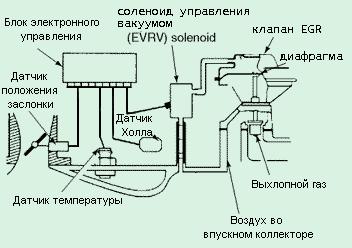 EGR system