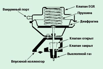 EGR valve